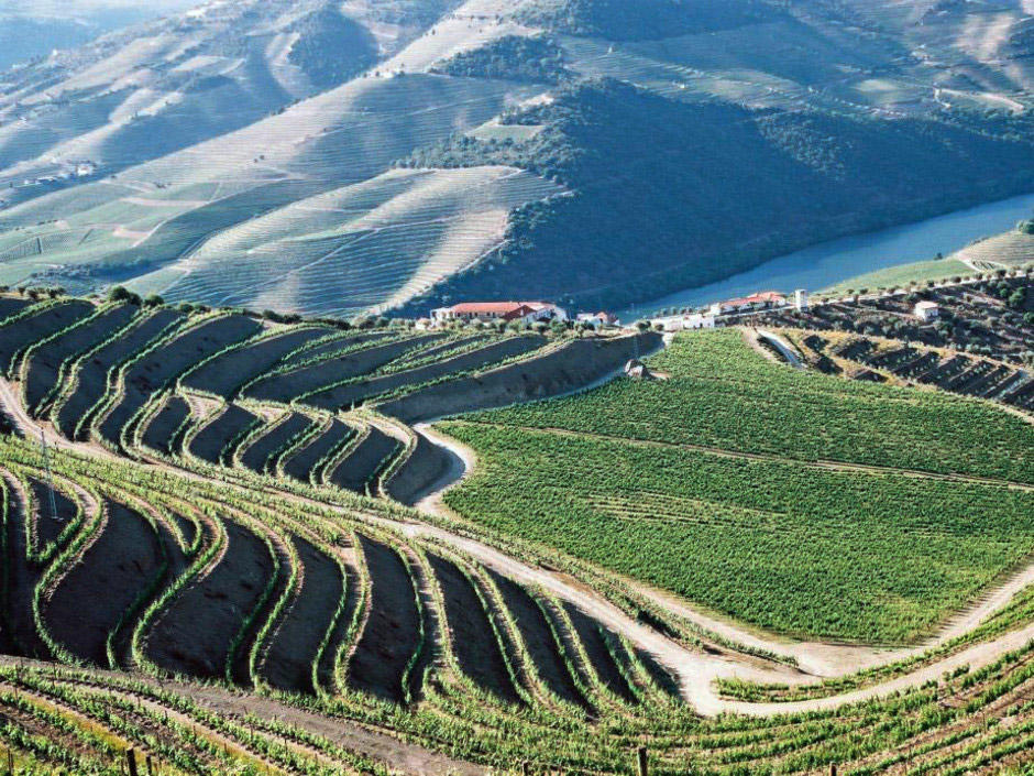 Vallée du Douro